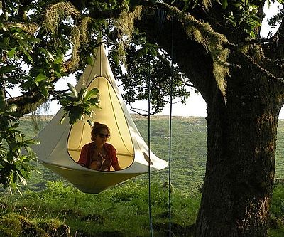 Hangout Nest