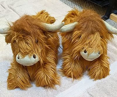 Highland Cow Fluffy Slippers