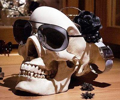 Human Skull Tidy