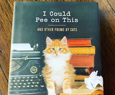 I Could Pee On This Cat Poems