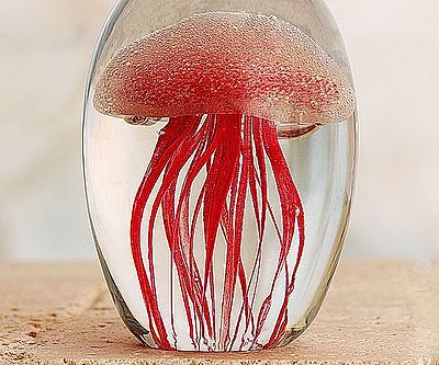 Jellyfish Paperweight