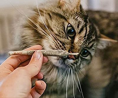 Meowijuana Catnip Preroll Joints
