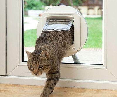 Microchip Pet Door