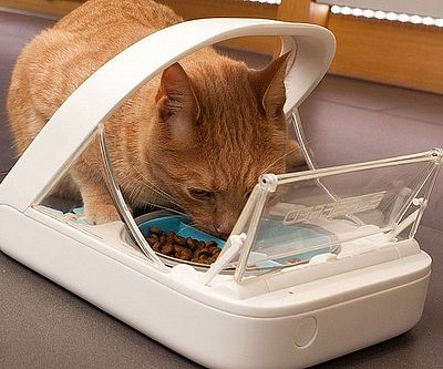 Microchip Pet Feeder