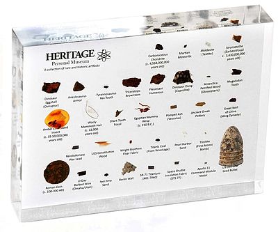 Mini Natural History Museum