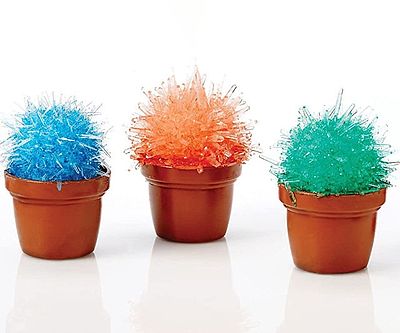 Miniature Crystal Cactus Growing Set