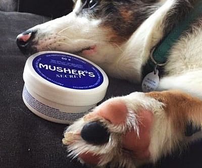 Musher’s Pet Paw Protection Wax