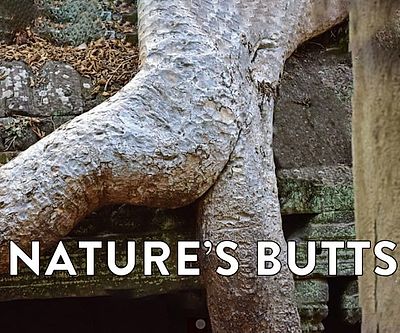 Nature’s Butts Calendar