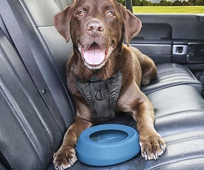 No Spill Dog Travel Bowl
