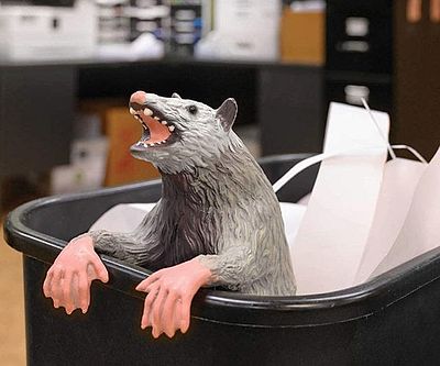 Office Trash Possum