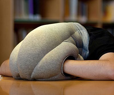 Ostrich Pillow
