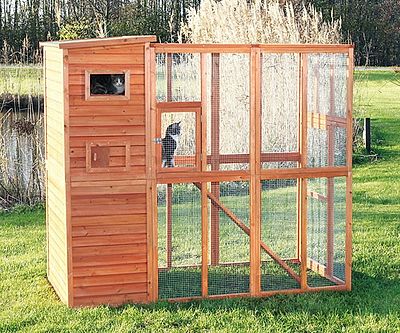 Outdoor Cat Sanctuary