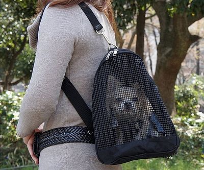 Pet Backpack