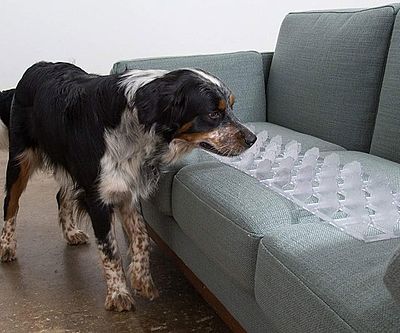 Pet Couch Guard