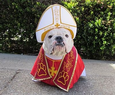 Pet Pope Costume