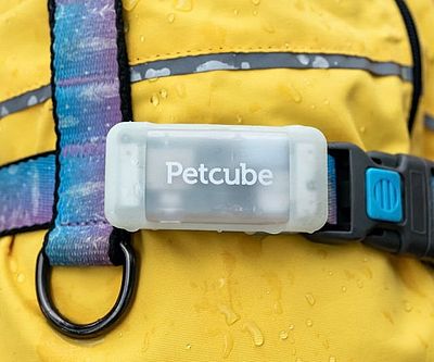 Petcube GPS Tracker Dog Collar
