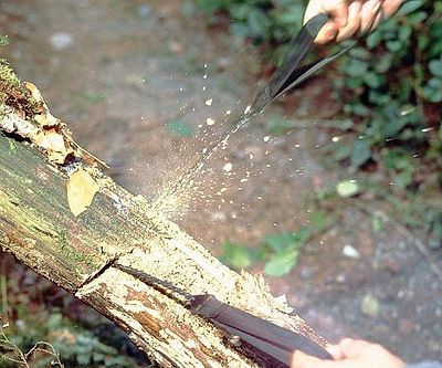 Pocket Chainsaw