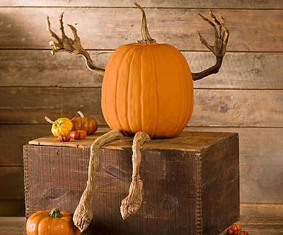 Posable Pumpkin Arms & Legs