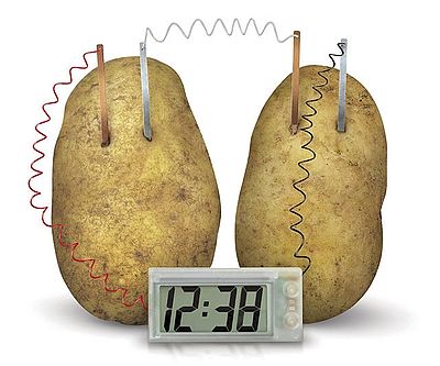 Potato Powered Clock Science Kit