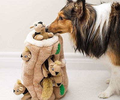 Puzzle Plush Squeaking Toys for Dogs