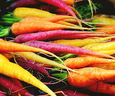 Rainbow Carrot Seeds