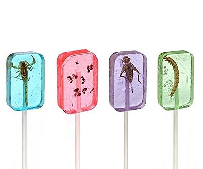 Real Insect Lollipops