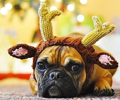 Reindeer Neck and Ear Warmer Dog Snood