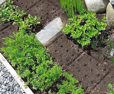 Seeding Squares