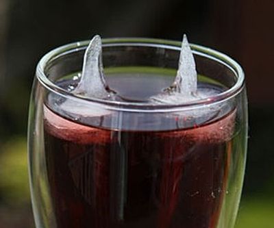 Shark Fin Ice Tray