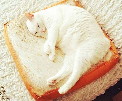 Slice Of Bread Cat Bed