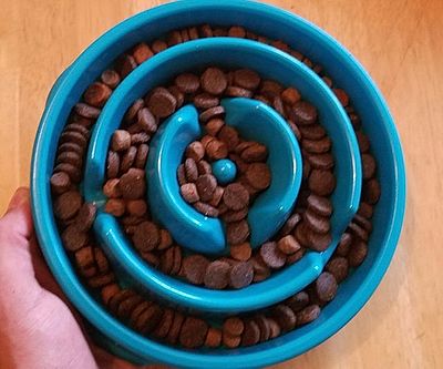 Slow Feed Dog Bowl