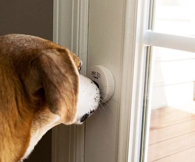 Smart Dog Doorbell