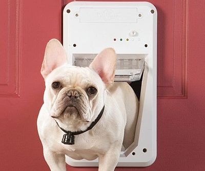 SmartKey Enabled Dog Door