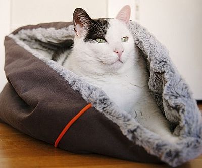 Snuggle Pet Bed