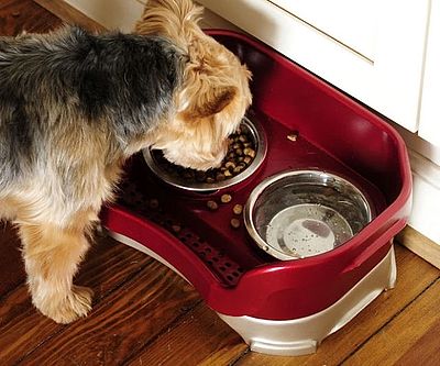Spill Containing Pet Feeder