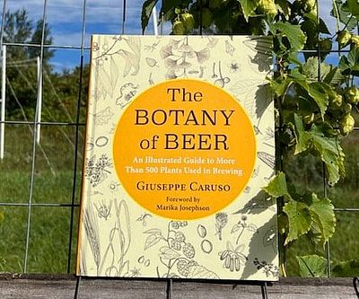 The Botany Of Beer