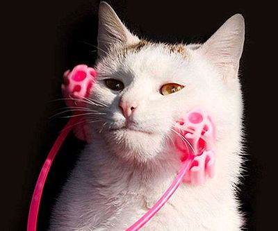 The Cat Face Massager