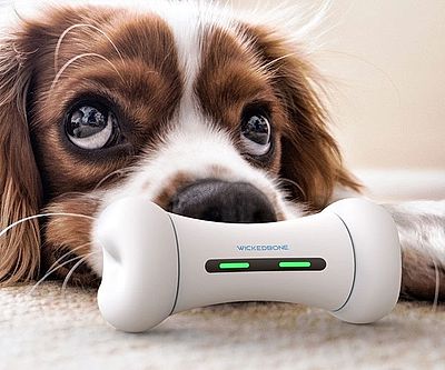 The Interactive Smart Dog Toy