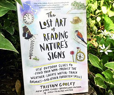 The Lost Art Of Reading Nature’s Signs