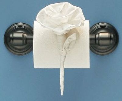Toilet Paper Origami