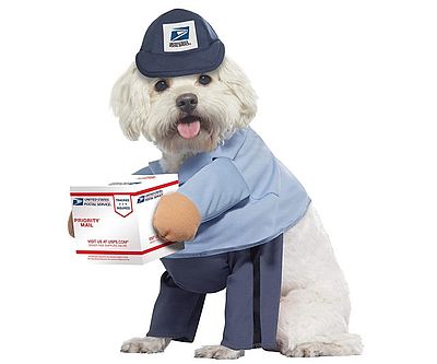 US Mail Carrier Dog Costume