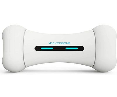 Wickedbone Smart Bone