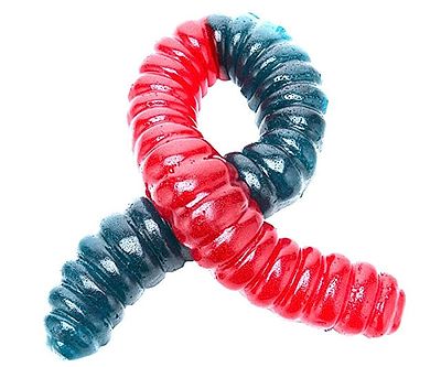 World’s Largest Gummy Worm