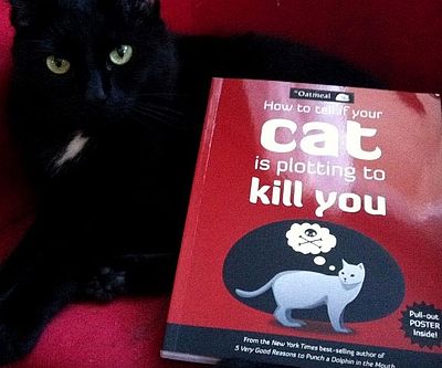Your Cat Is Plotting To Kill You Book