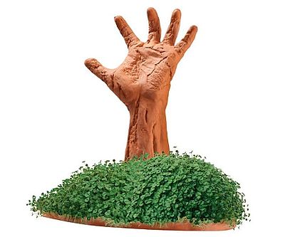 Zombie Arm Chia Pet
